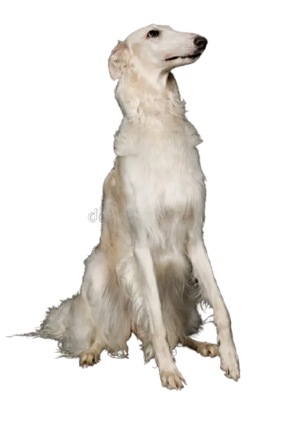 snoopa
